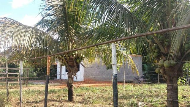 Chácara - Foto 2