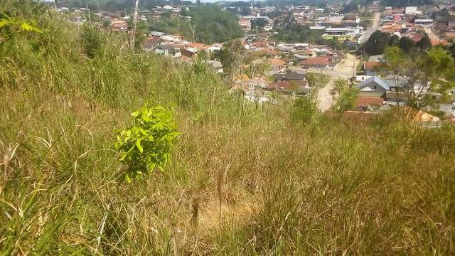 Terreno para Venda, 20.000,00 m² São Bento do Sul / SC, bairro Oxford - Foto 2