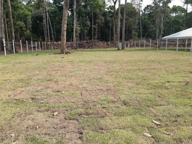 Chácaras Rio Negro, Lotes 1.000 m², a 15 minutos da ponte rio negro;:[ - Foto 17