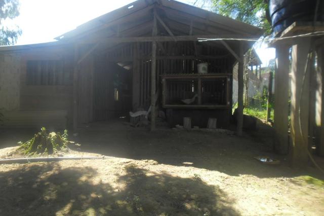 Vende-se chácara em Areia Branca dos Assis - Mandirituba (cód. A199) - Foto 7