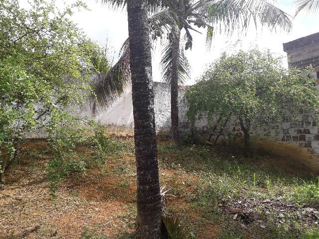 Excelente Casa em Moreno PE - Foto 16