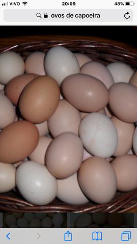 Ovos caipira ( orgânico )