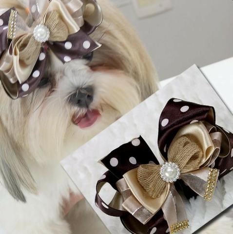 Aula de Laços para Pet - Foto 4