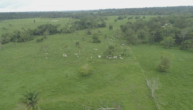 Fazenda Próxima de Rio Branco - Foto 3