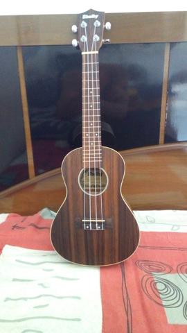 Ukulele concert - Foto 3