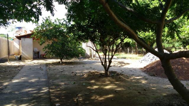 Casa/Rancho na beira do Rio Paranã - Foto 4