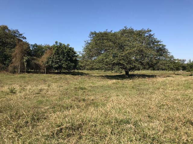 Oportunidade Venda Sítio/Rancho 46mil m2 em Aldeia Velha - Silva Jardim-RJ - Foto 13