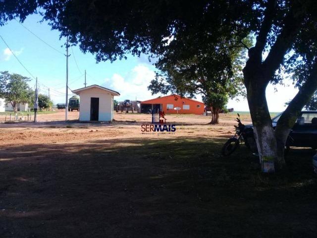 Fazenda à venda, por R$ 220.000.000 - Zona Rural - Sinop/MT - Foto 7
