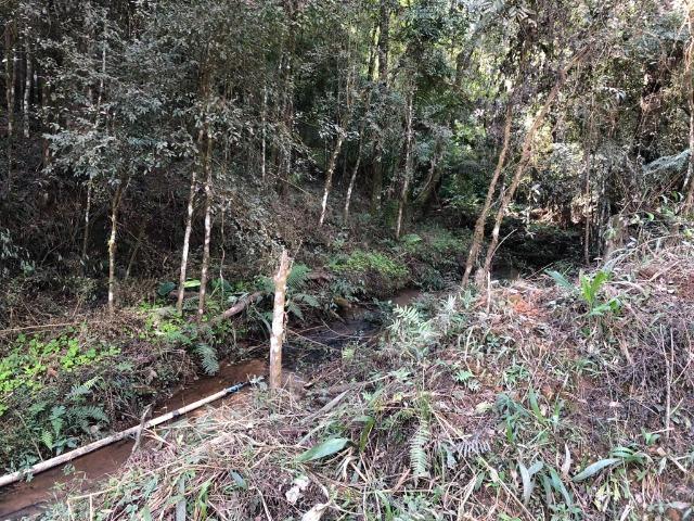 (Torro) Chácara em Bocaiuva do sul com 2.000 m² - Foto 11