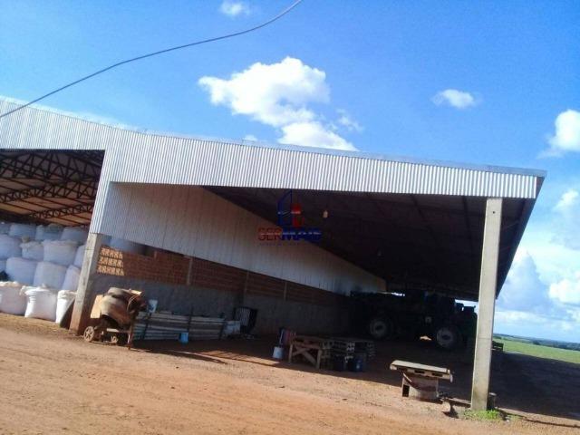 Fazenda à venda, por R$ 220.000.000 - Zona Rural - Sinop/MT - Foto 6