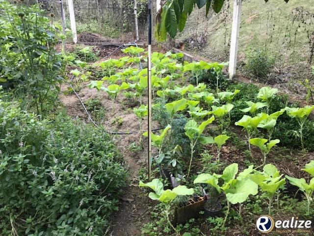 Lindo Sítio em Parajú em Domingos Martins de 8,1 hectares - Foto 11