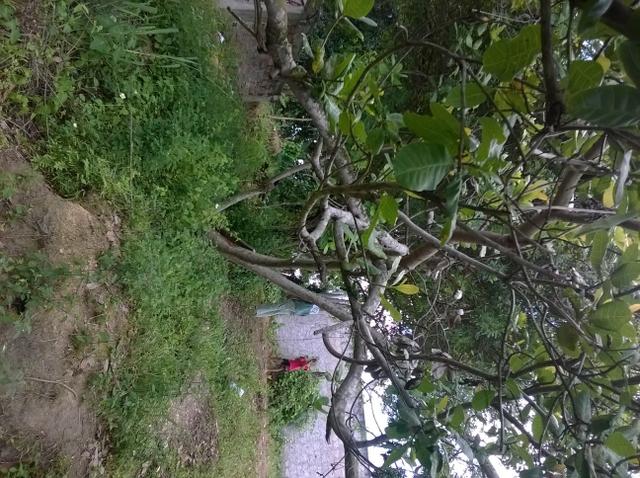 Oportunidade terreno em Águas Claras 6,9x13m R$ 8.500,00 - Foto 3
