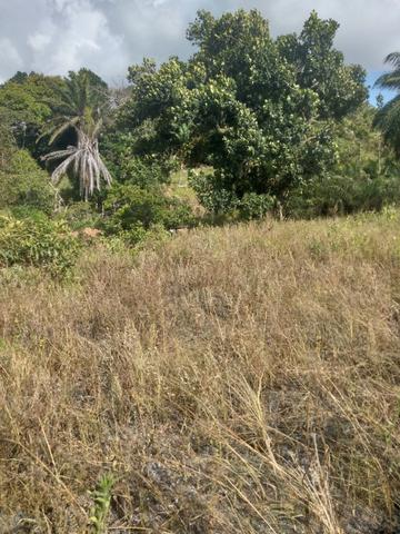 Vendo terreno 30X30 - Foto 2