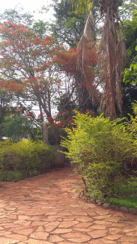 Chaçará Residencial de Chacaras Itanhangá - Foto 13