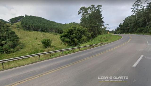 Chácara à venda em Rio mandioca, São bento do sul cod:238CH - Foto 4