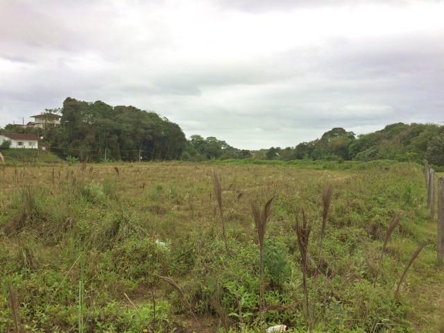 Terreno para alugar com 0 dormitórios em Floresta, Joinville cod:02517.002 - Foto 5