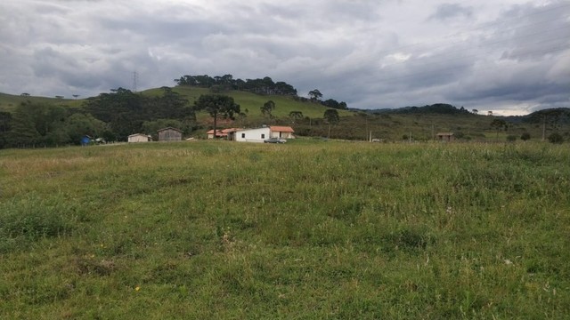 Lindo Sítio na Serra Catarinense - Foto 3