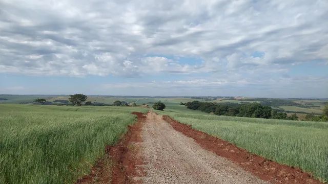 Chácara de 20.000 M2 Sarandi - Pr testada de 118 metros  - Foto 3