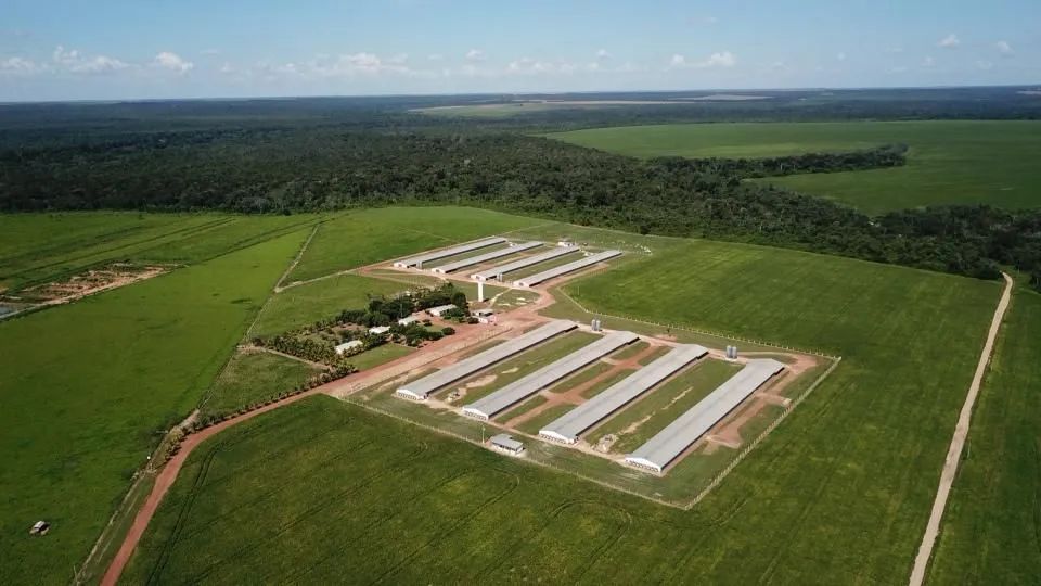 Graja de frango em Lucas do rio verde MT. 90 hect. 8 barracões 15 milhões - Foto 2