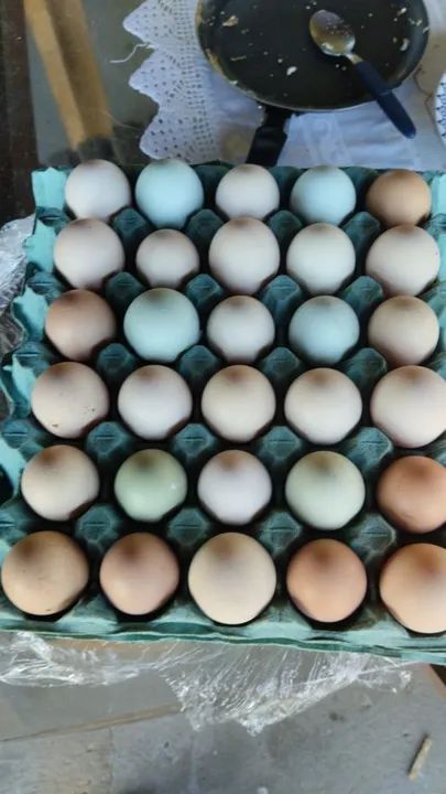 Ovos 100% caipiras 30,00 cartela com 30 unidades