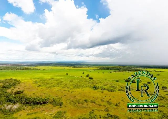 Fazenda 136 Alqueires Dupla Aptidão Vale do Araguaia - Foto 4