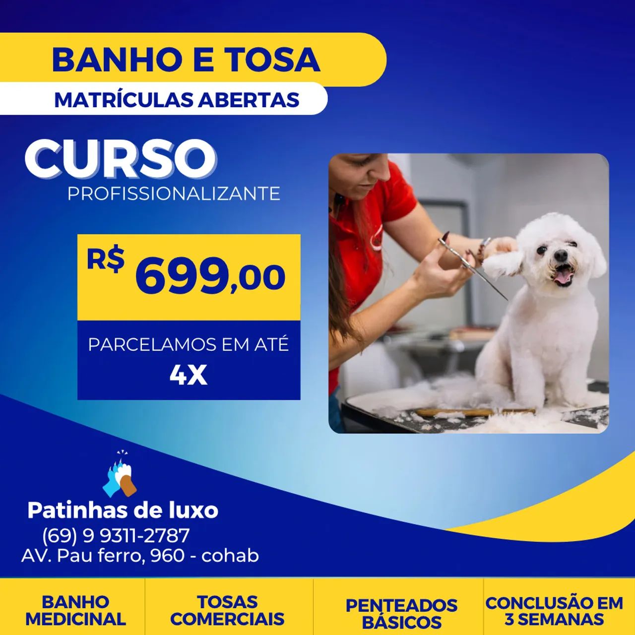 CURSO DE BANHO E TOSA - Cachorros e acessórios - Flodoaldo Pontes Pinto,  Porto Velho 1318296345 | OLX