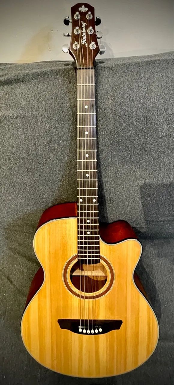 Strinberg AW-50C N Acoustic Guitar (NOTE in the listing!!!)64750424969858121