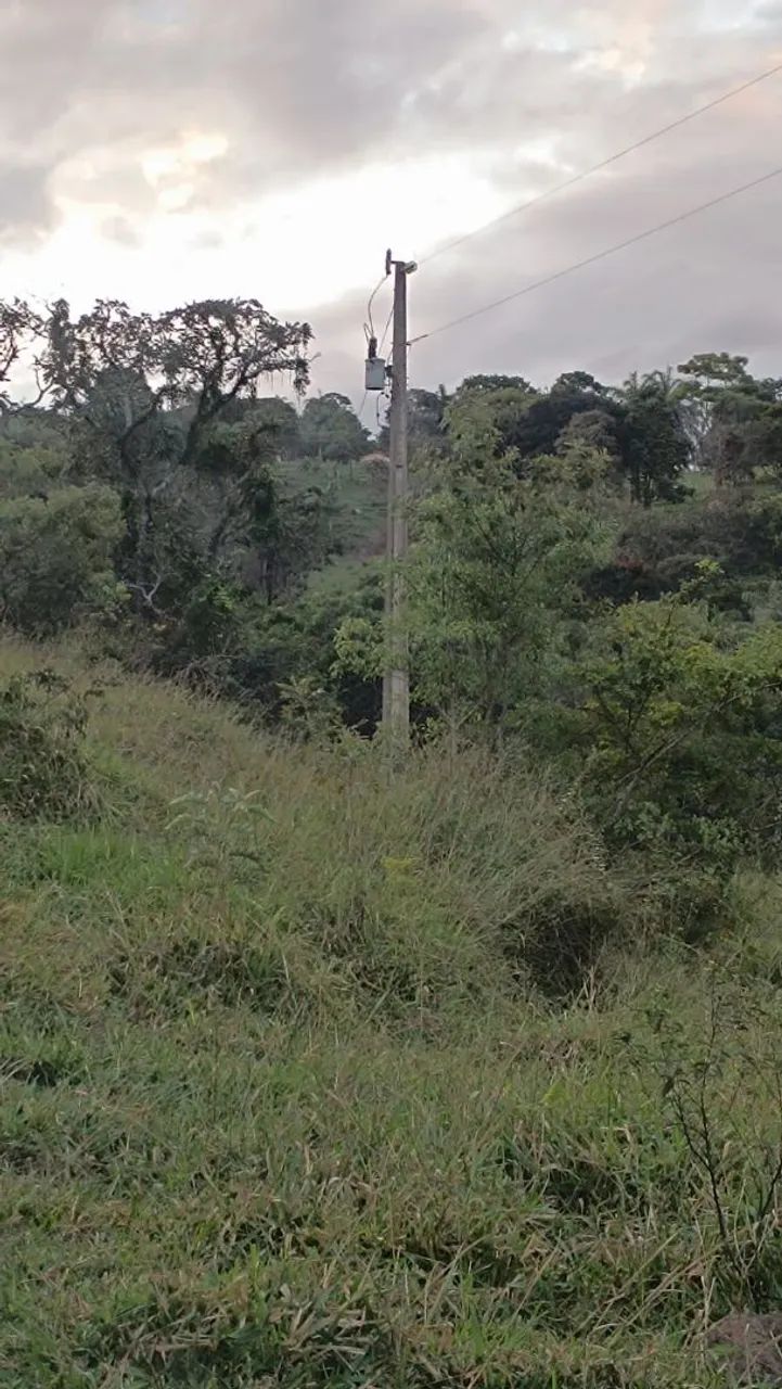 5 hectares em mateus leme  - Foto 5