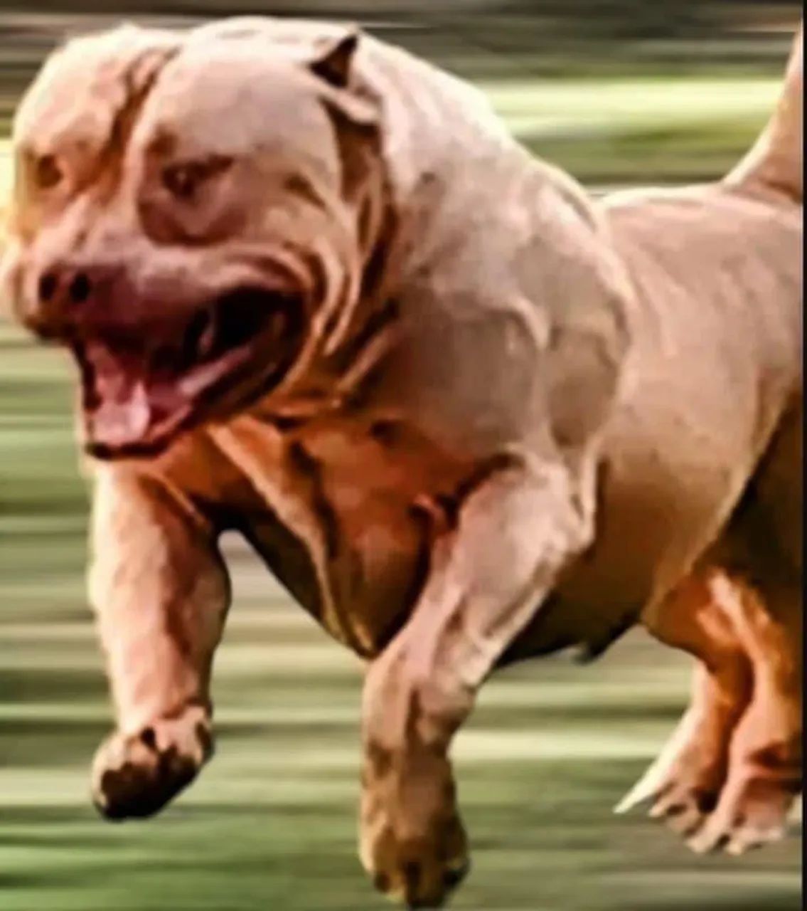 Suplemento alimentar para cães  - Foto 4