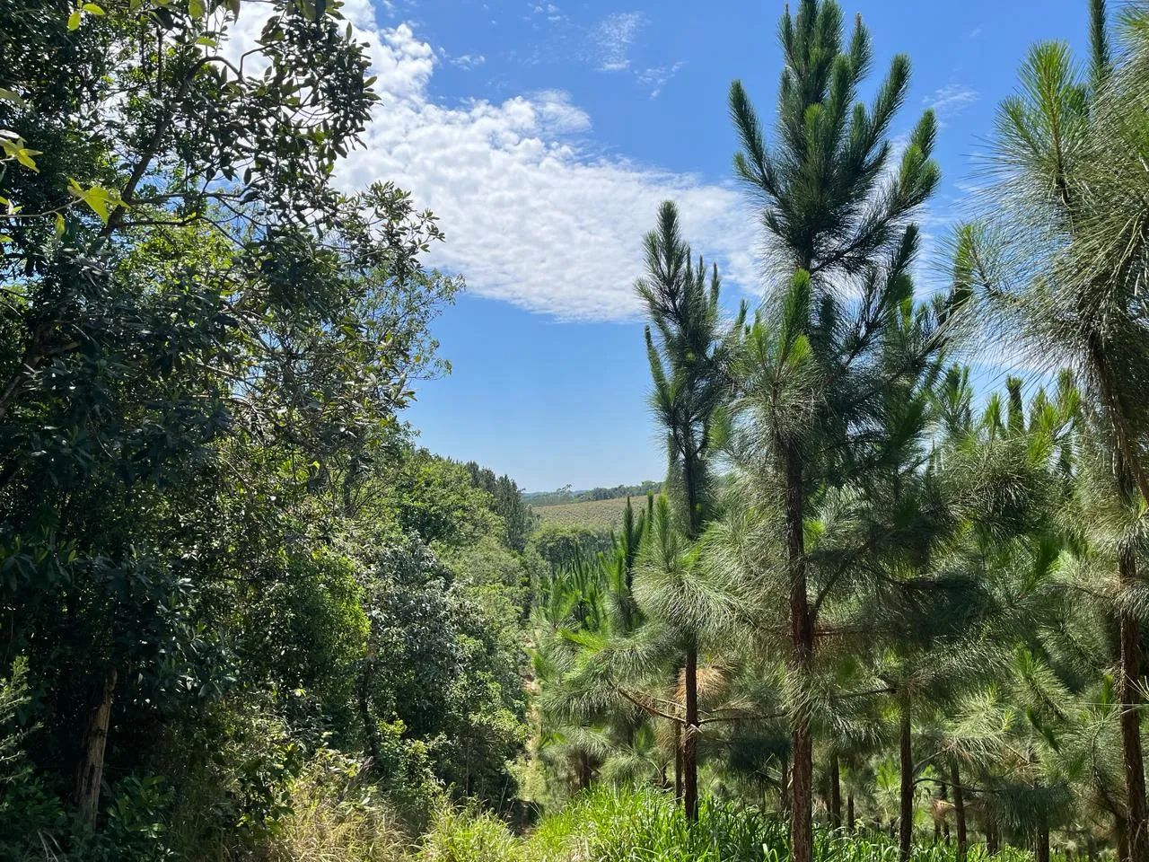 Oportunidade Única! Imóvel Rural em Matão, Buri/SP