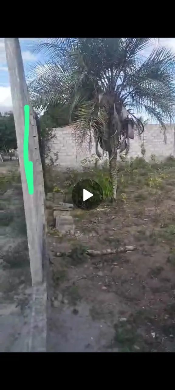 Aluguel de terreno pra comercio - Foto 3