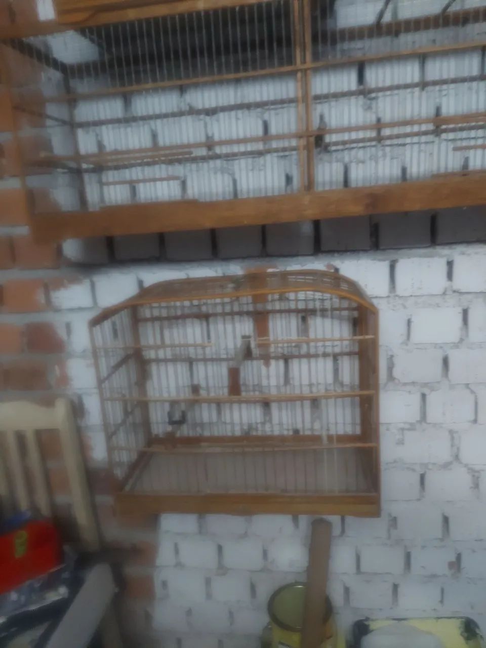 Gaiolas64304559533571122