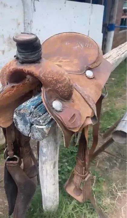 Vendo duas delas de laço  - Foto 2