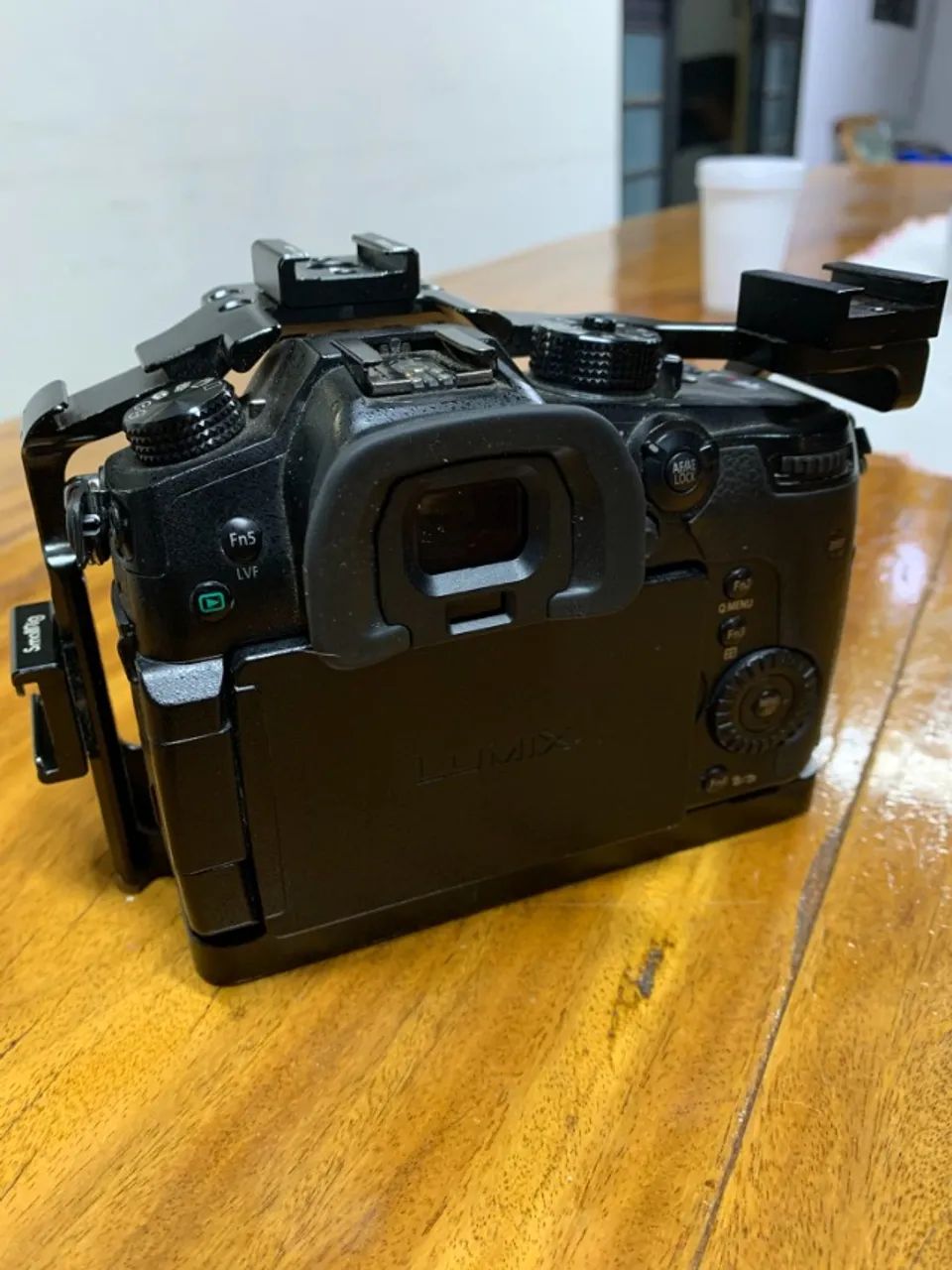 Panasonic Lumix GH5 - Foto 4