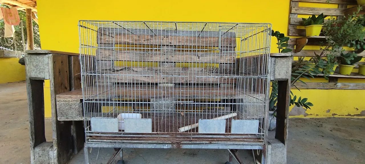 Gaiola 64304560613890121