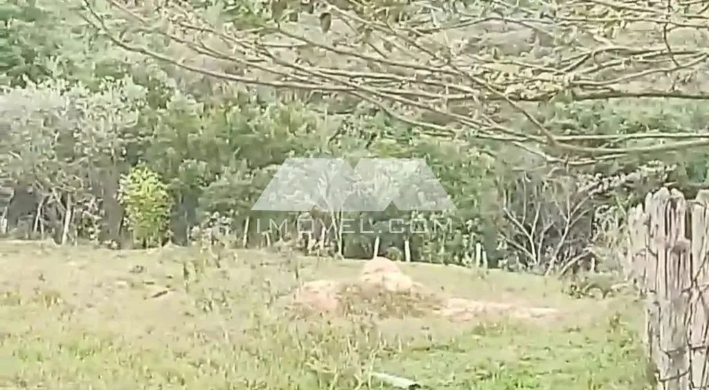 SÍTIO COM 1 ALQUEIRE - JACUTINGA, CORUMBATAÍ/SP - Foto 2