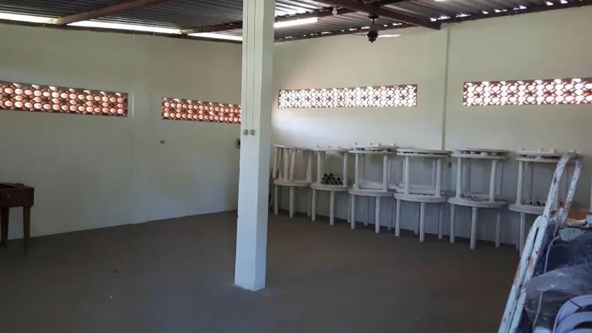 Sítio plano 20.000 m2 em Guapimirim - Citrolândia  - Foto 10