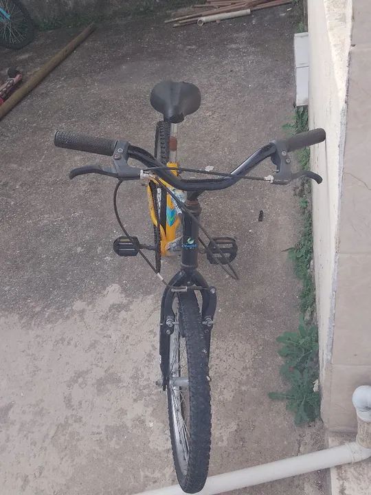 Bicicleta Verdes Verão - Foto 4