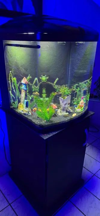 Aquário boyu - Foto 2