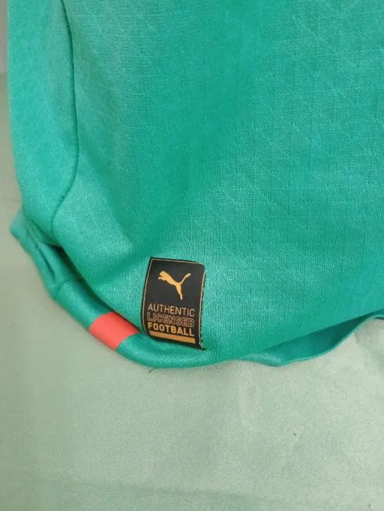 CAMISA OFICIAL SENEGAL ANO 2022 - Foto 6