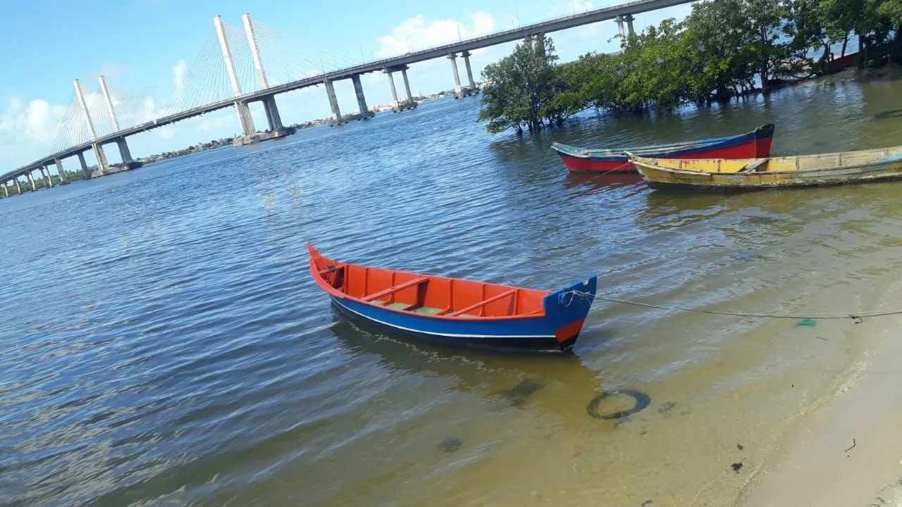 Barco novo todo fibrados e todos pintando todos filé 