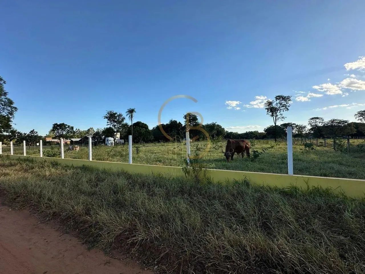 O CAMPO ESTÁ CHAMANDO: TERRENO DE 1 HECTARE PRONTO PARA SUA CHÁCARA! - Foto 3