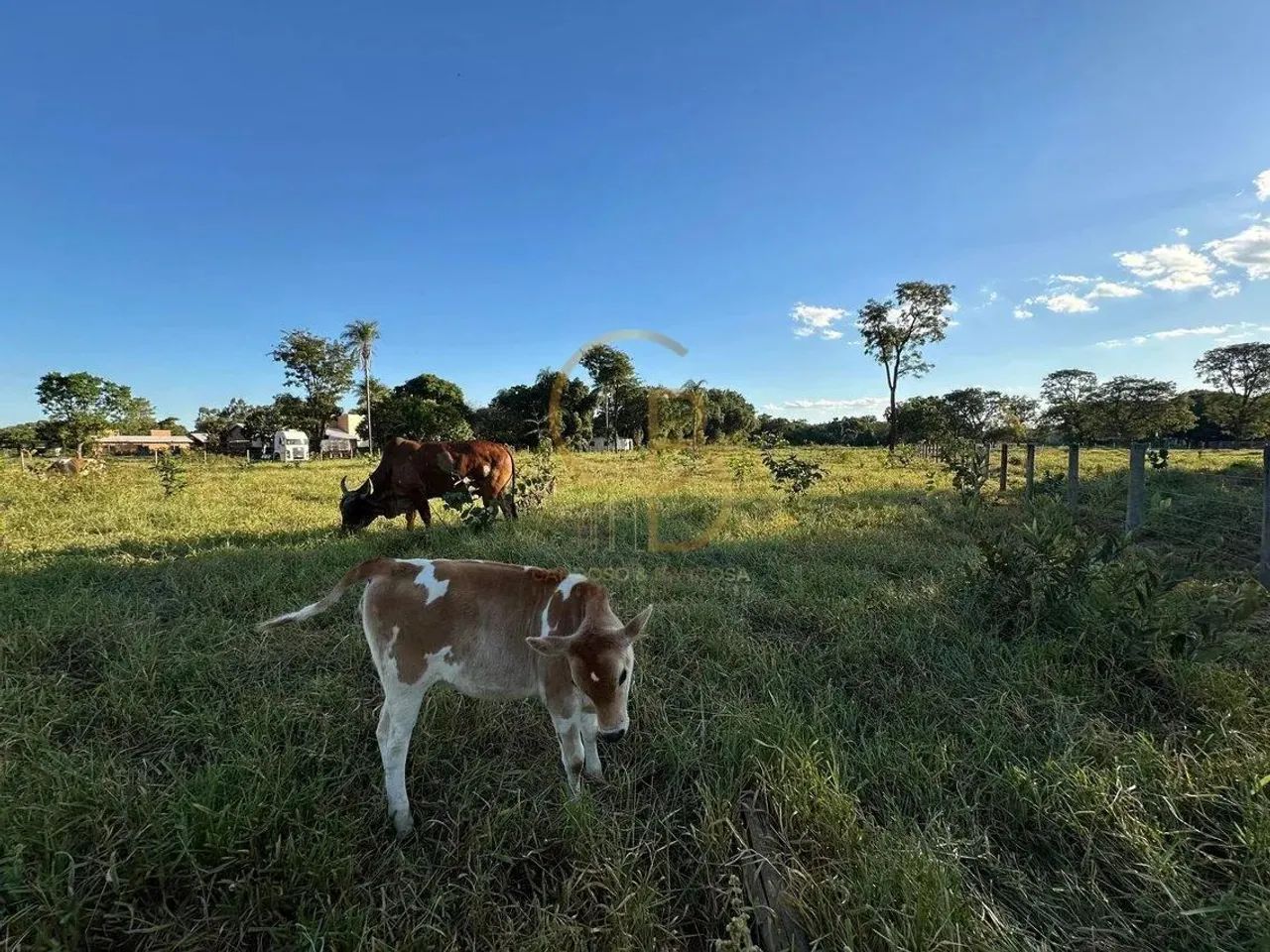 O CAMPO ESTÁ CHAMANDO: TERRENO DE 1 HECTARE PRONTO PARA SUA CHÁCARA! - Foto 4
