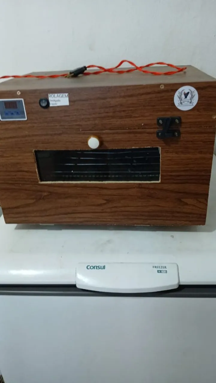 Incubadora Caseira para Chocagem de Ovos