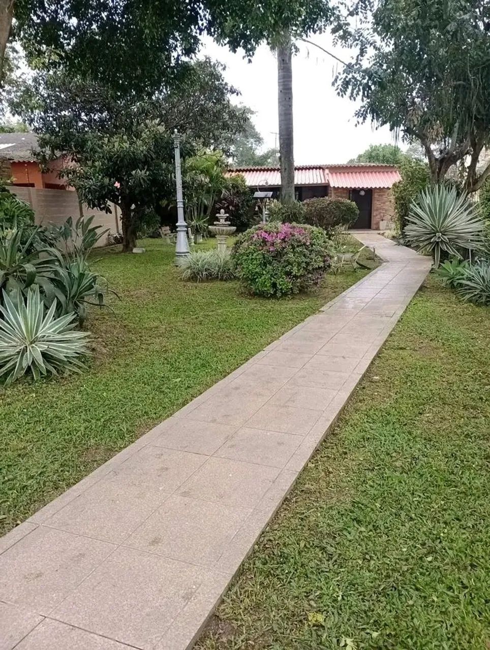 Jardineiro disponível  - Foto 3