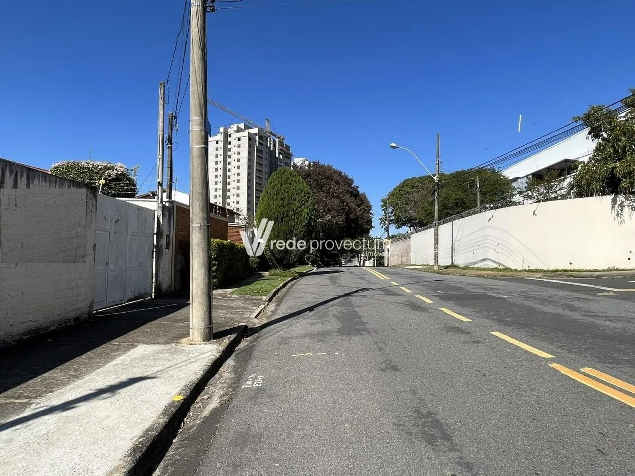 terreno - Nova Campinas - Campinas - Foto 3