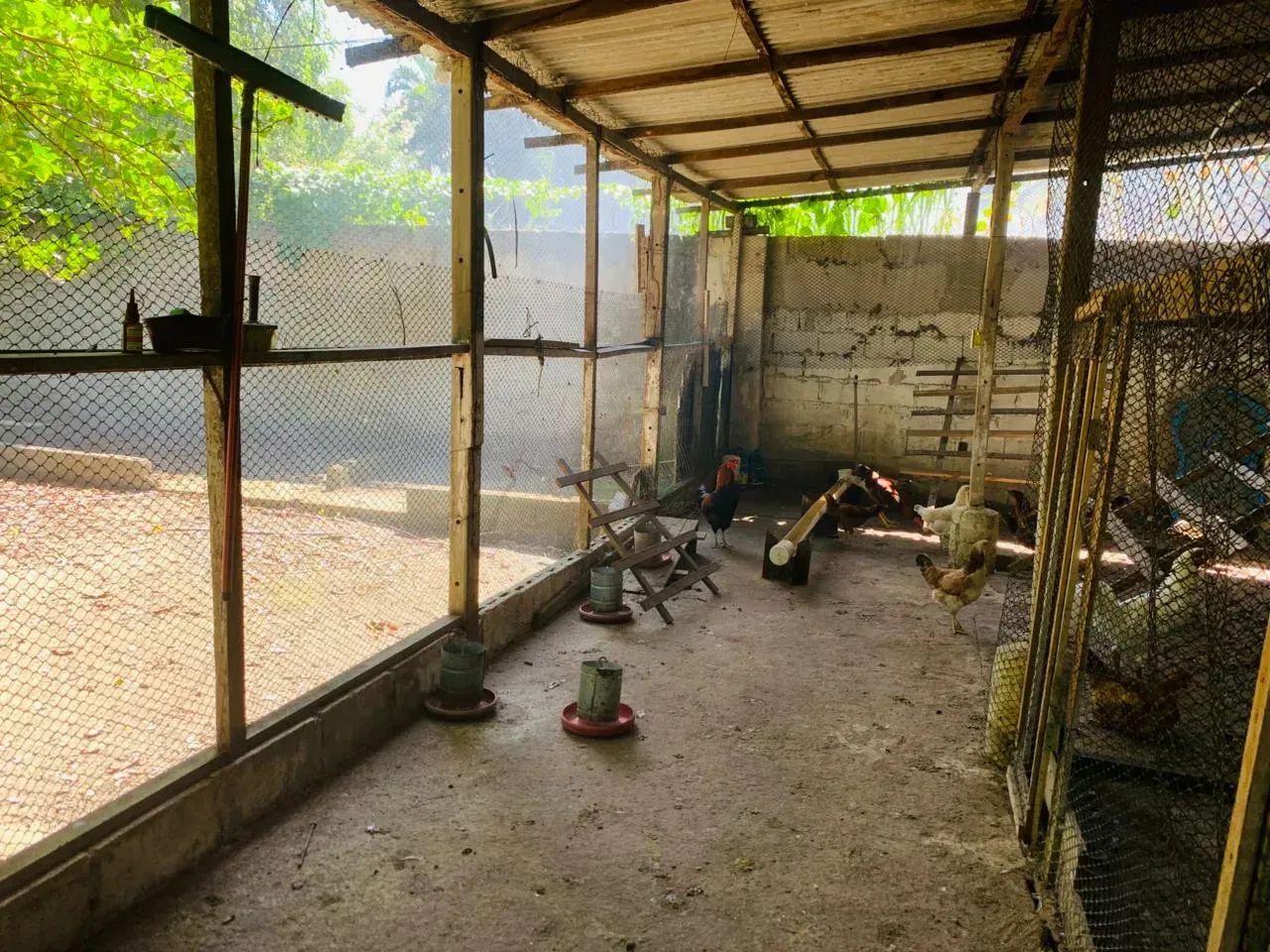 Sitio Itaguai documentação 100% 5 mil m² Energia Solar - Foto 5