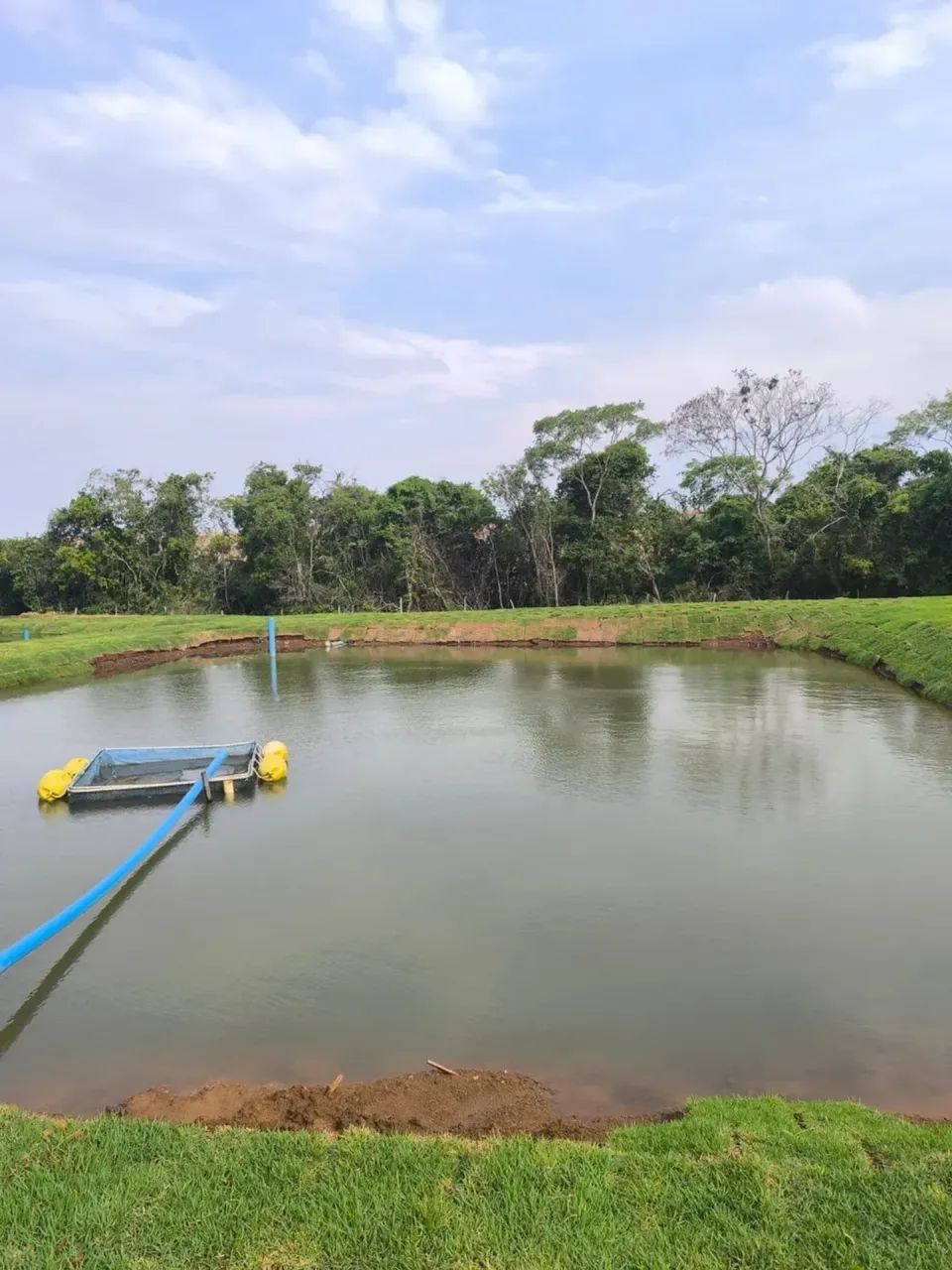 Fazenda Piracanjuba - Foto 4