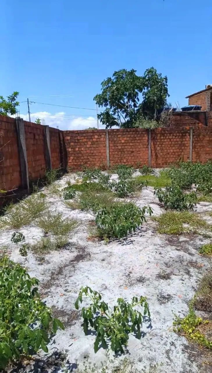 Terreno na Massagueira  - Foto 3