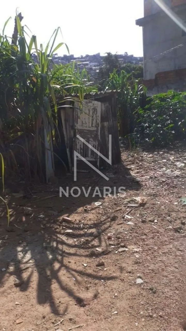 Terreno - Jd. Ângela - Foto 5